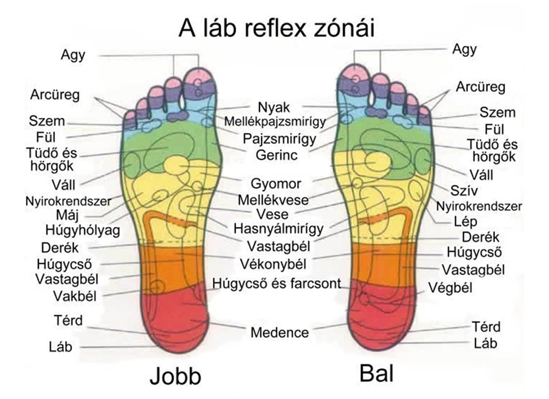 A képhez tartozó alt jellemző üres; talpterkep-1.jpg a fájlnév